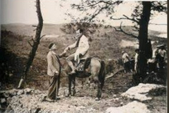 1_Karatepe..-1947-de-Karatepe-de-kazilar-baslar.-Kazi-baskani-Prof.-Helmut-Th.Bosserti-W.-C.-Ceram-ziyarete-geliyor.-